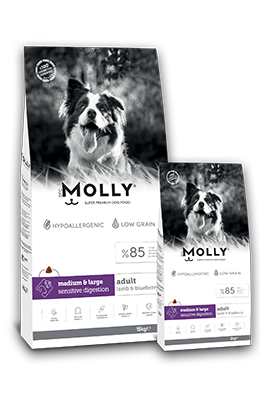 &lt;span style=&quot;color:rgba(98, 58, 127, 1)&quot;&gt;MOLLY DOG ADULT
MEDIUM &amp; LARGE
SENSITIVE DIGESTION &lt;/span&gt;
Lamb &amp; Blueberry