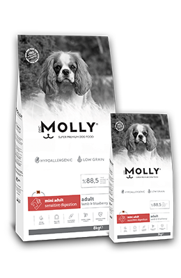 &lt;span style=&quot;color:#CB4D4C;&quot;&gt;MOLLY DOG ADULT
MINI ADULT
SENSITIVE DIGESTION &lt;/span&gt;
Lamb &amp; Blueberry