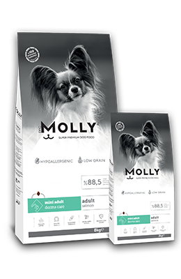 &lt;span style=&quot;color:#53A890&quot;&gt;MOLLY DOG ADULT
MINI ADULT
DERMA CARE &lt;/span&gt;
Salmon