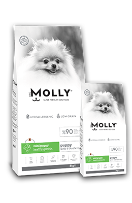 &lt;span style=&quot;color:#6ABE55;&quot;&gt;MOLLY DOG PUPPY
MINI PUPPY
HEALTHY GROWTH &lt;/span&gt;
Lamb &amp; Blueberry