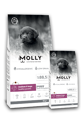 &lt;span style=&quot;color:#9B4677&quot;&gt;MOLLY DOG PUPPY
MEDIUM &amp; LARGE
HEALTHY GROWTH &lt;/span&gt;
Lamb &amp; Blueberry