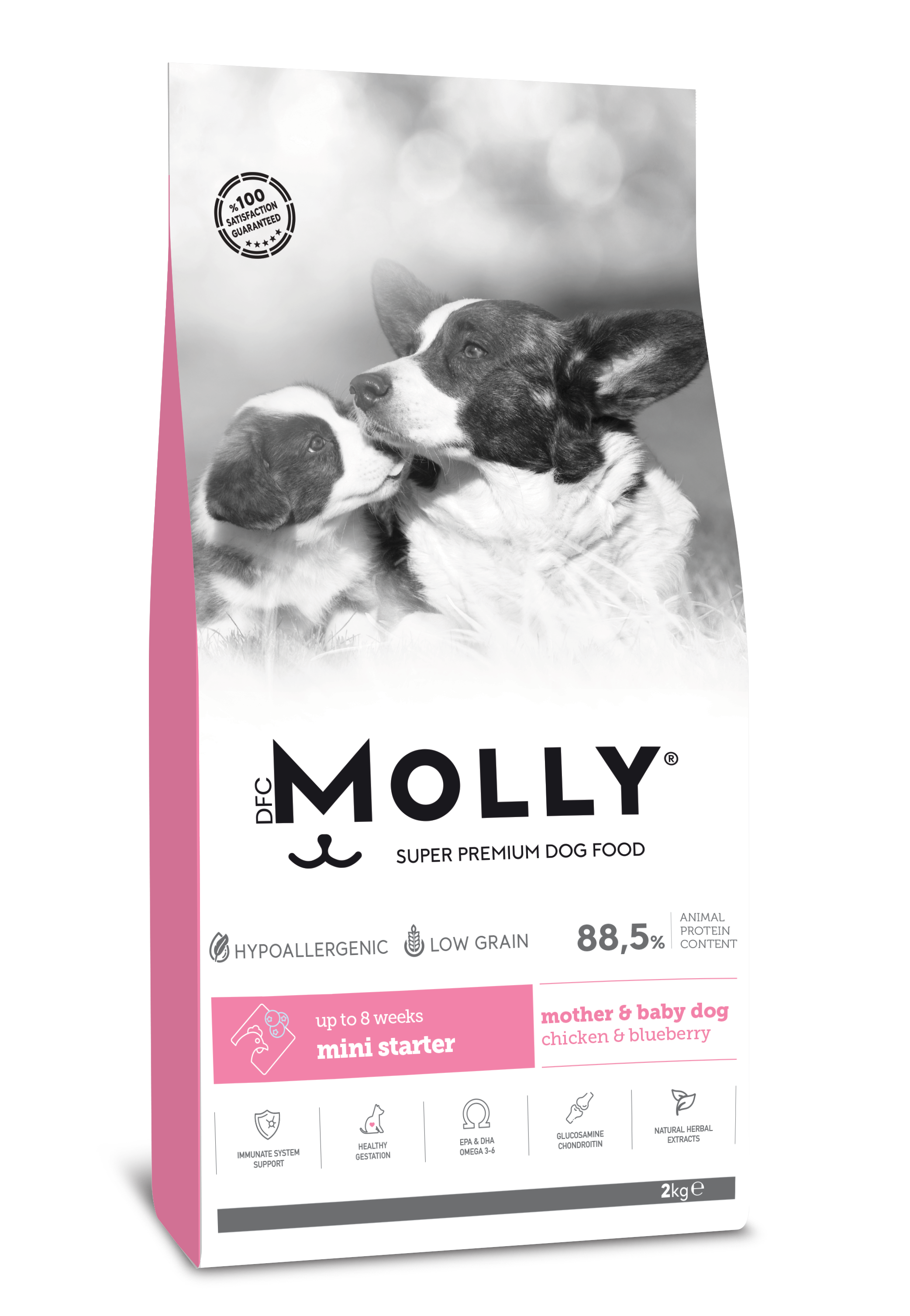 &lt;span style=&quot;color:#F282A9;&quot;&gt;MOLLY DOG MOTHER &amp; BABY DOG
UP TO 8 WEEKS
MINI STARTER&lt;/span&gt;
Chicken &amp; Blueberry