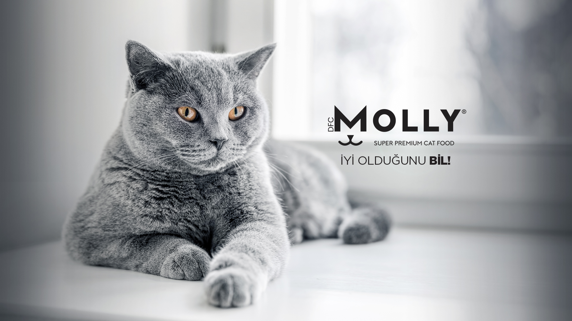 molly