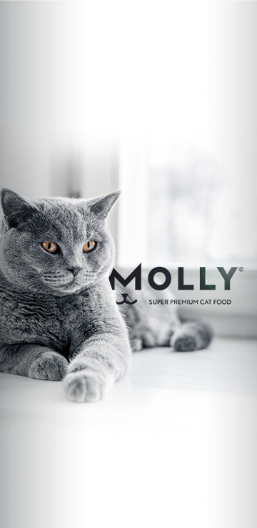 LickiMat Felix - For Cats - Molly's Healthy Pet Food Market